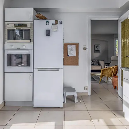 Magnolia * シント・イデスバルト